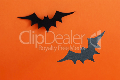 Two Bats as Halloween Background