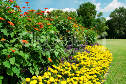 Beautiful flowerbed in summer park