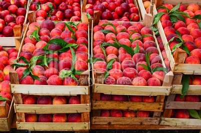 Peaches in crates