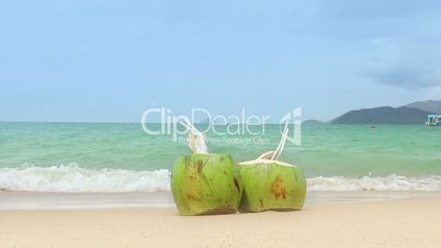 Coconuts on a Sandy Beach.