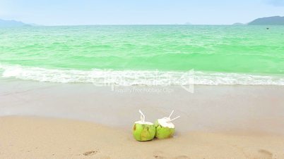 Coconuts on a Sandy Beach.