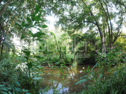 Naturschutzgebiet Mainaue