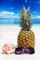 Ganze Ananasfrucht steht am Strand