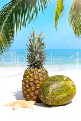 Tropische Früchte am Sandstrand unter Palmen