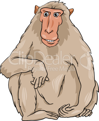 macaquee animal cartoon illustration