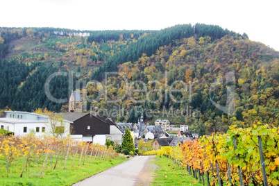 Traben-Trarbach im Herbst