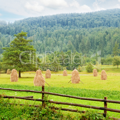 haystacks in the mountain valley