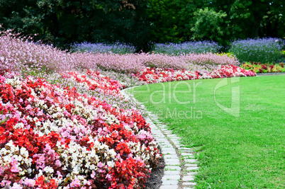 bright flower bed and green grass in the summer park