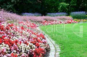 bright flower bed and green grass in the summer park