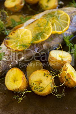 Potatoes And Lemon On Trout Fillet