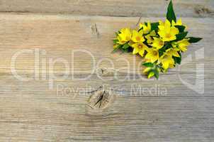 gelbe Blume auf Holzbrett