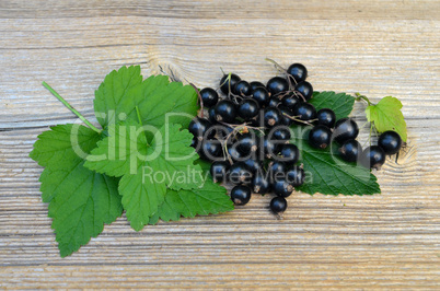 schwarze Johannisbeeren