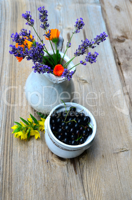 schwarze Johannisbeeren