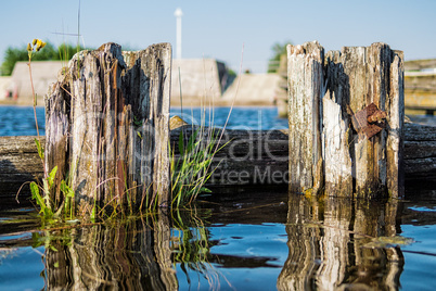 Am Ufer der Warnow in Rostock