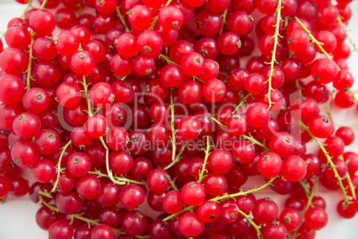 Johannisbeeren