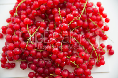 Johannisbeeren