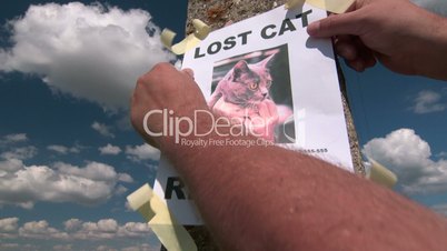 Lost pet sign posting with cat image