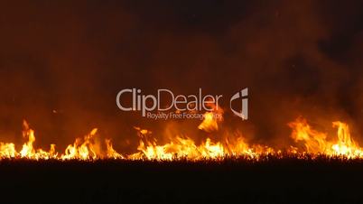Large grass fire in the field at night