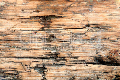 Wooden Texture