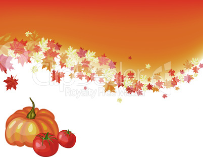 Autumn maple background