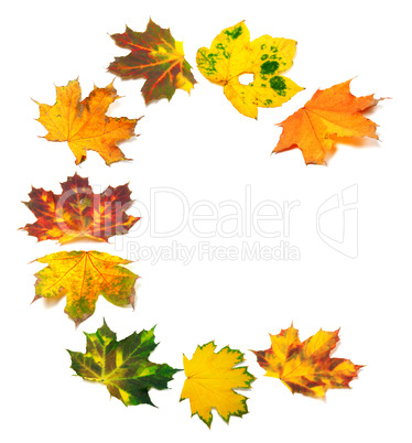 Letter C composed of autumn maple leafs