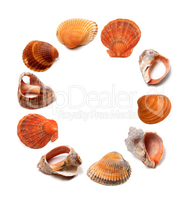 Letter O composed of seashells