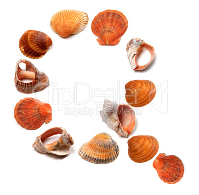Letter Q composed of seashells