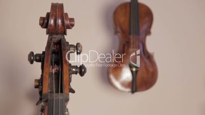 Geige und Kontrabass