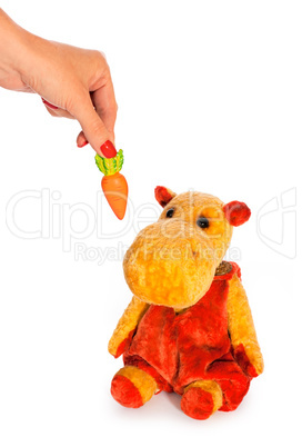 Isolated yellow hippo toy and hand with carrot