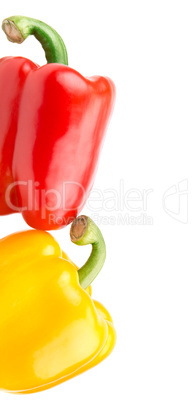 pepper yellow and red isolated on white background