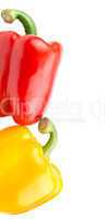 pepper yellow and red isolated on white background