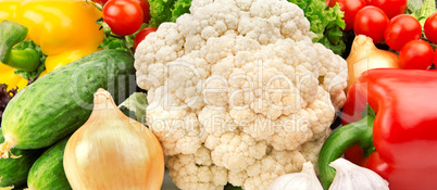 bright background of various vegetables