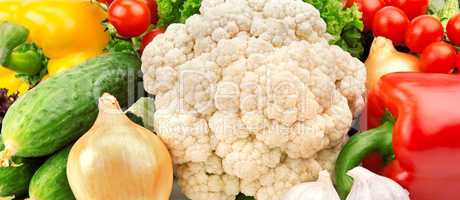 bright background of various vegetables