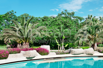 palm trees and flowers around the outdoor pool