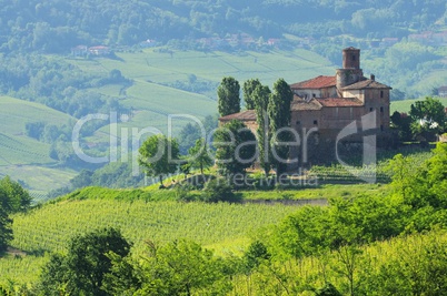 Barolo Castello di La Volta 13