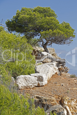 Küstenabschnitt bei Santa Eulalia, Ibiza