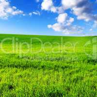 field and sky