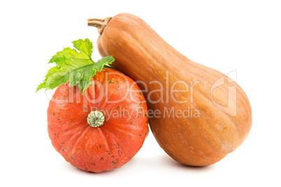 ripe pumpkin isolated on white background