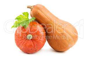 ripe pumpkin isolated on white background