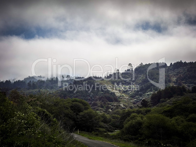 Point Reyes Wald, USA