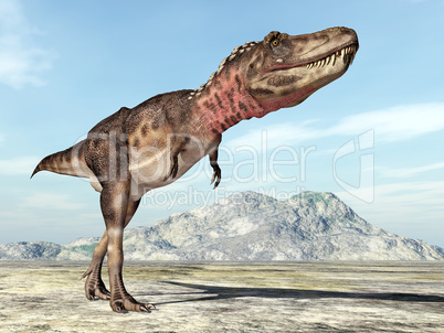 Dinosaurier Tarbosaurus