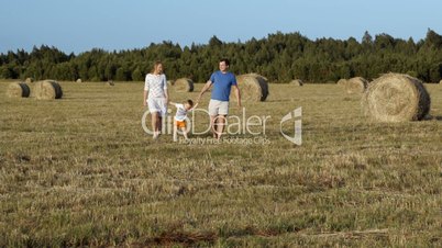 Family walking holding hands in the field
