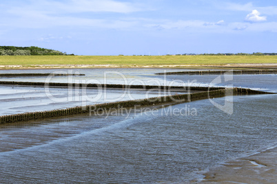 Nature on Sylt