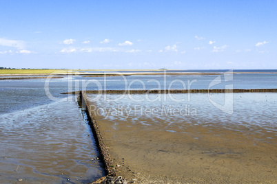 Nature on Sylt