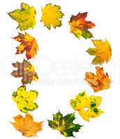 Letter D composed of autumn maple leafs