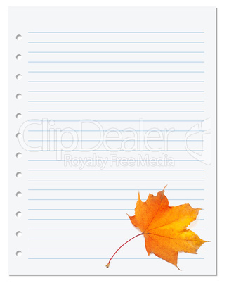 Notebook paper with autumn maple leaf on white