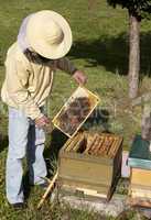 beekeeper from Germany