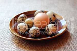 some eggs of the quail and one of the hen