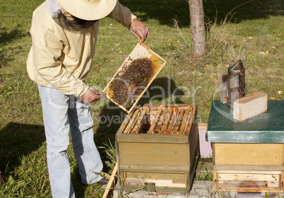German beekeeping