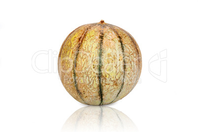 Galia Charentais Melone isoliert und gespiegelt